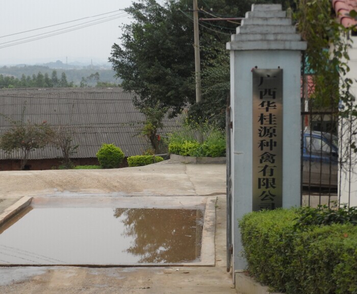 1734145415985115.jpg 20146913444370996183.jpg